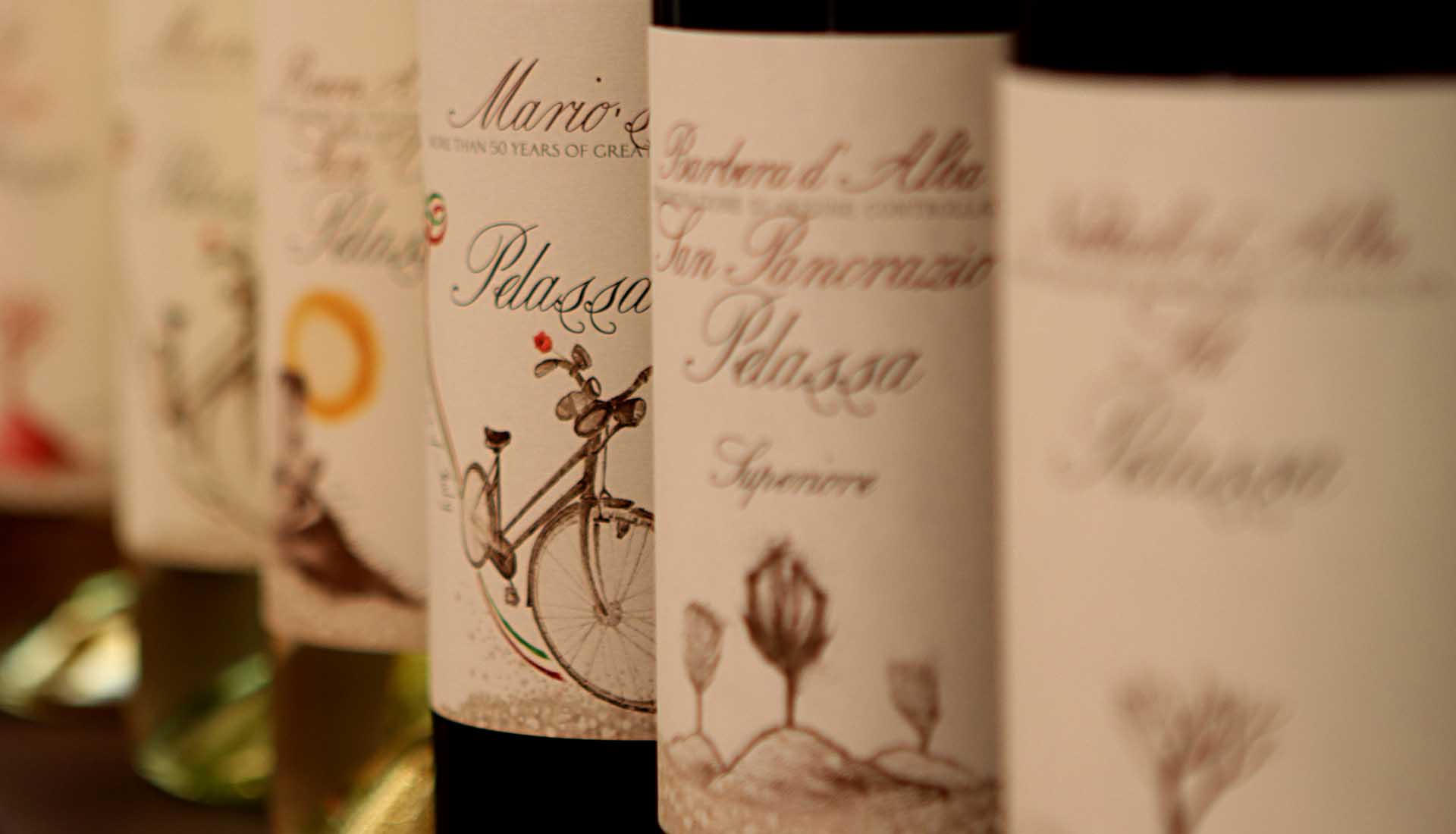 Weingut Pelassa Piemont