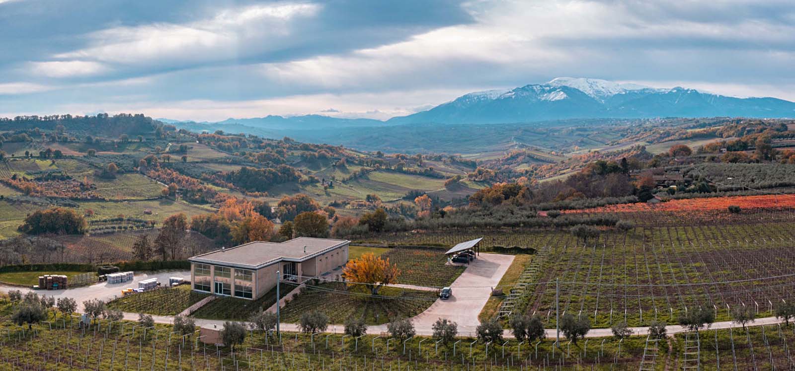 Cantina Collefrisio