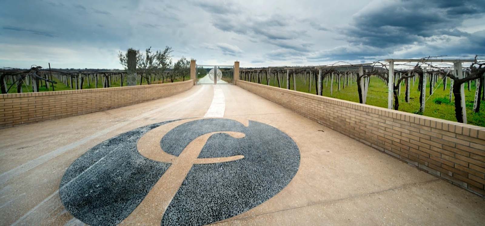 Cantina Collefrisio